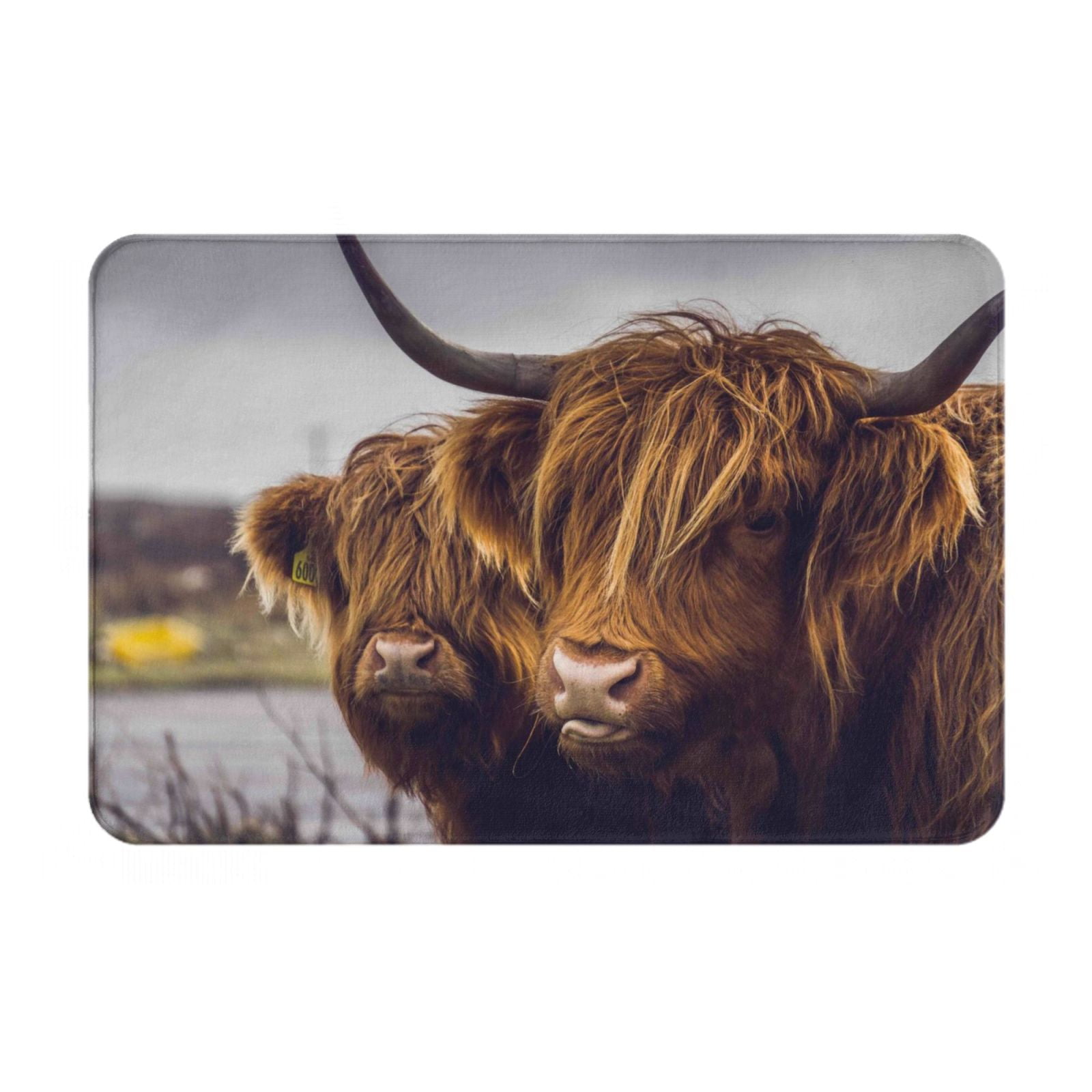 Highland Cow Doormat - 17x29 Inch Indoor/Outdoor Entrance Mat With Non-Slip Backing For Kitchen, Bathroom, Porch