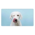 thumbnail image 1 of Bingfone Puppy Licks Nose Large Gaming Mouse Pad,Extended Desk Mousepad With Stitched Edges,Non-Slip Base,Water Resist Keyboard Pad For Gamer, Office & Home, 29.5 X 16 In, 1 of 9