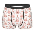 thumbnail image 1 of Bingfone Rabbit Is And Carrots Men's Underwear - Casual Stretch Boxer Briefs-Small, 1 of 7