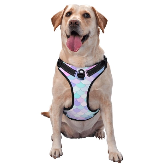Bingfone Rainbow Scales No Pull Dog Vest Harness For Small Medium Large Dogs Strap For Puppy Walking,Training,Dog Harness-Small