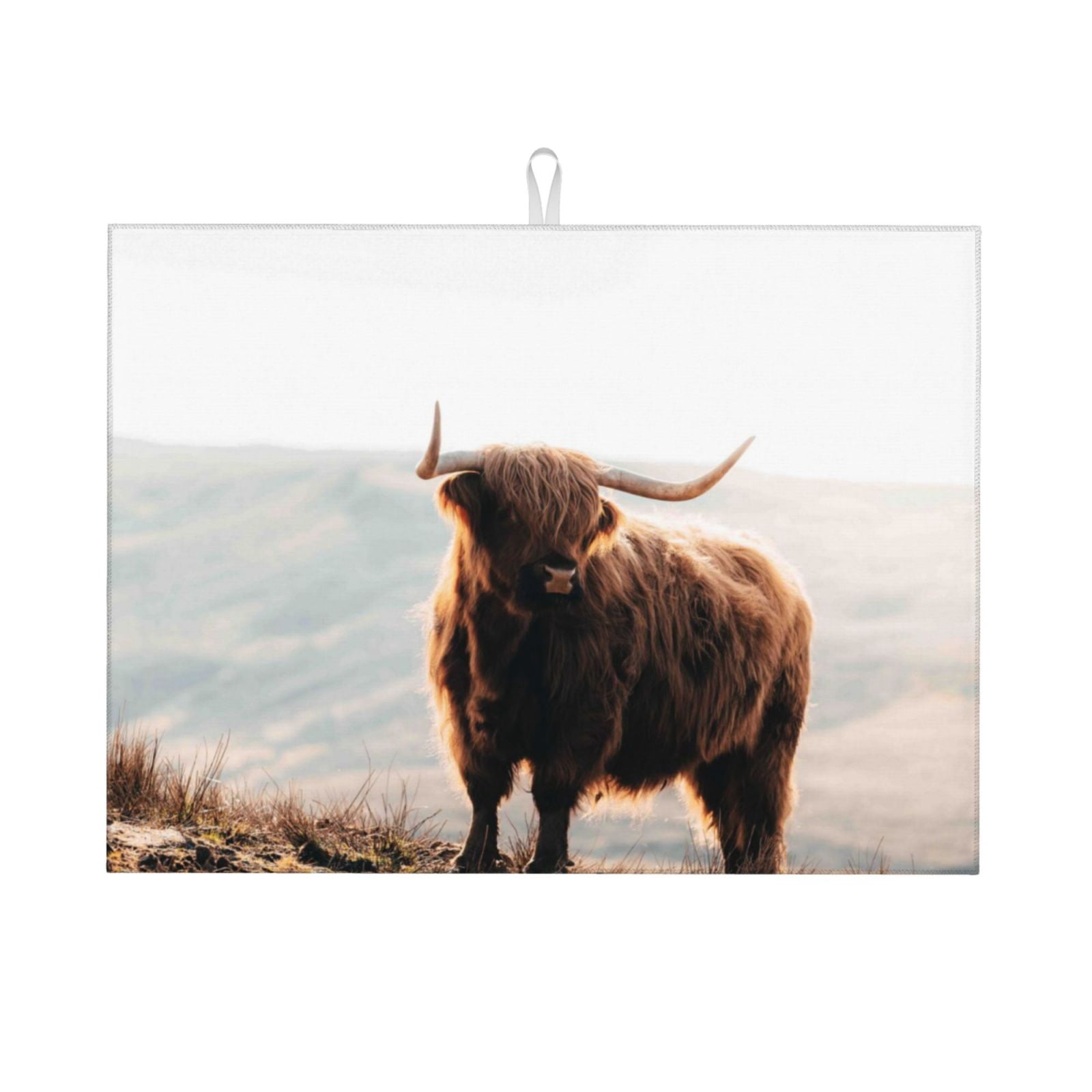 Bingfone Scottish Highland Cow In Isle Of Skye ,18