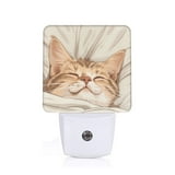 Bingfone Sleeping Cat In Blanket Print Night Lights Plug into Wall,Dusk ...