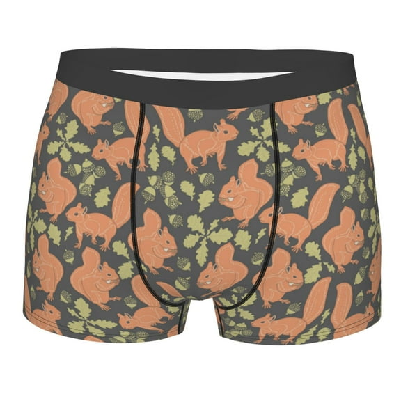 Bingfone Squirrel And Nuts Men's Underwear - Casual Stretch Boxer Briefs-Small