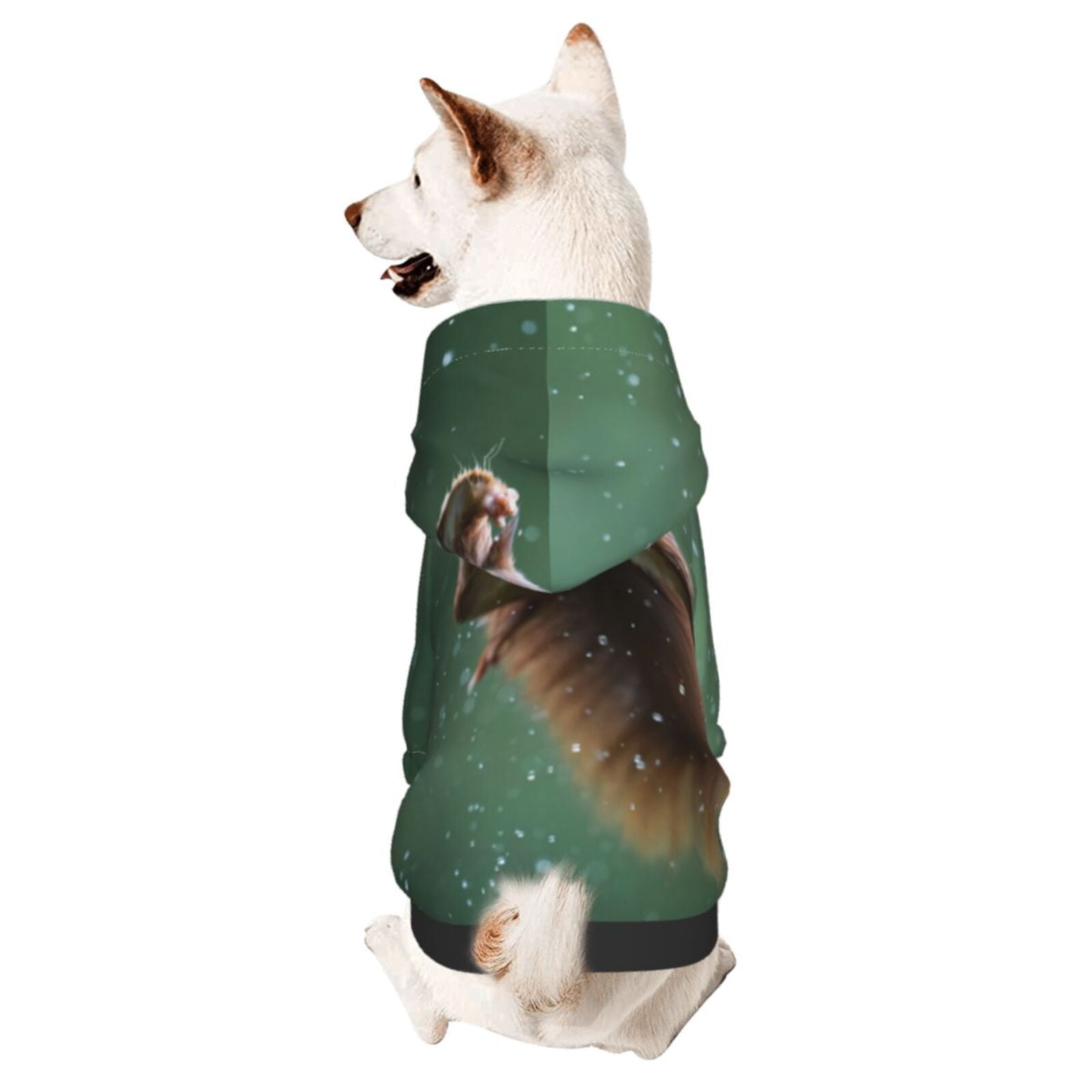 Bingfone Squirrel Dog Clothes Hoodie, Pet Winter Coat,Puppy Sweatshirts