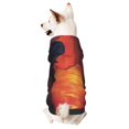 Bingfone Sunset River Western Cowboy Dog Clothes Hoodie, Pet Winter