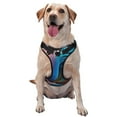 thumbnail image 1 of Bingfone Vibrant Fluid Motion Art No Pull Dog Vest Harness for Small Medium Large Dogs Strap for Puppy Walking,Training,Dog Harness-Small, 1 of 7