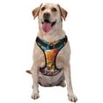 thumbnail image 1 of Bingfone Vibrant Picnic Food Spread No Pull Dog Vest Harness for Small Medium Large Dogs Strap for Puppy Walking,Training,Dog Harness-Small, 1 of 7