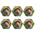 thumbnail image 1 of Bingfone Vintage Flower Crown Guinea Pig Leather Drinks Coasters with Set of 6,Suitable for Home Kitchen,Coffee Cup Coasters Home Gift, 1 of 7