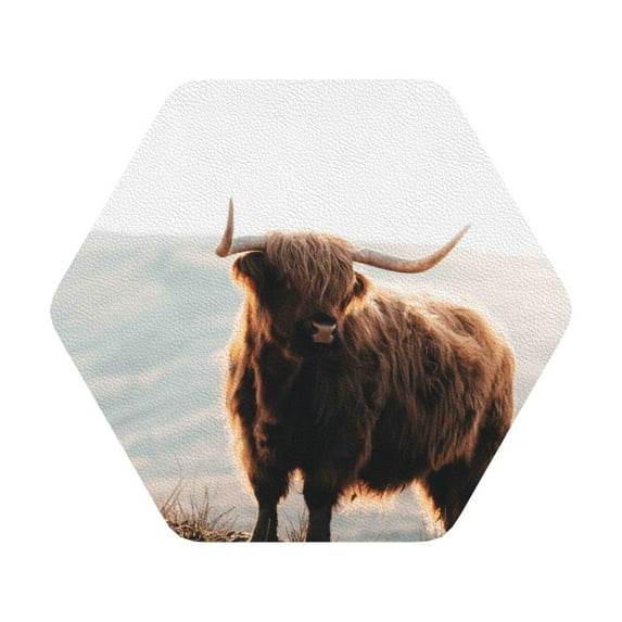 Bingfone Vintage Yak Leather Drinks Coasters With Set Of 6,Suitable For Home Kitchen,Coffee Cup Coasters Home Gift