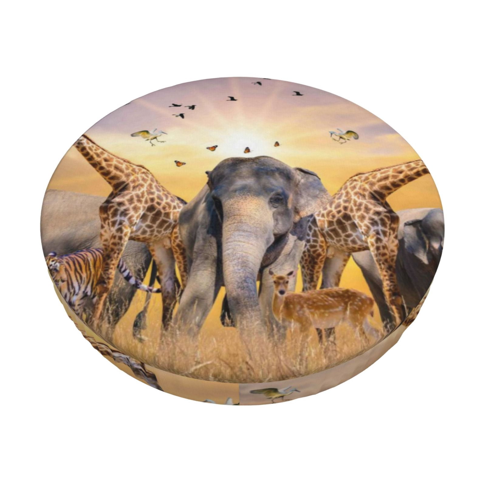 Snapshot of Bacterial Reader Large Sophisticated Elastic Cushion Wildlife Habitat