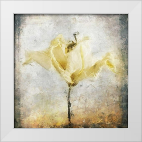 Bingham, John 26x26 White Modern Wood Framed Museum Art Print Titled - Sepia Bloom II