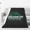 thumbnail image 1 of Binghamton University Queen Blanket Lightweight Blanket for Bed, Sofa Microplush - Ultra Soft Warm Blanket, 1 of 6
