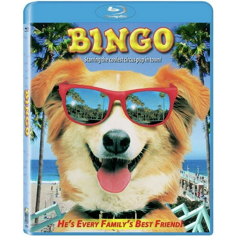 邦楽 HiHi Jets BINGO DVD Blu-ray HiHi Jets Arena Tour 2024 BINGO｜ジュニア｜Storm Labels