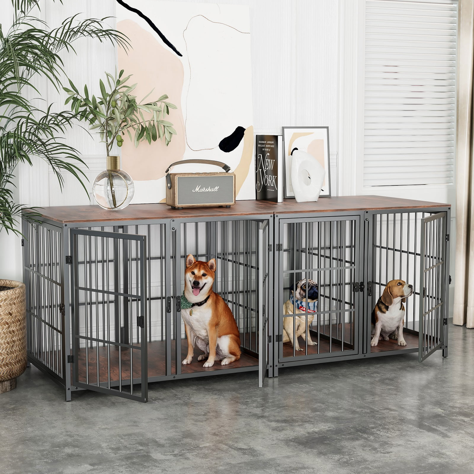 Crates Dividers Dogs