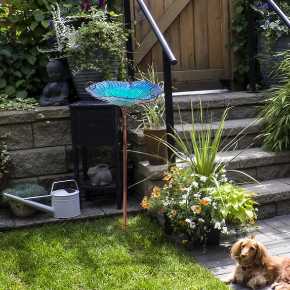 BingoPaw Glass Bird Bath Bird Feeder Station with Metal Stake for Garden Outdoor