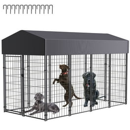 10x10 Kennel