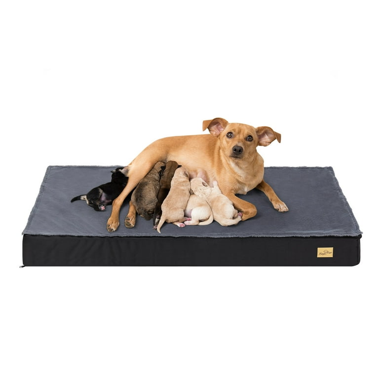 Bowsers Pet Products :: Crates & Accessories