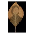 thumbnail image 1 of Binh Danh: The Enigma of Belonging, (Hardcover), 1 of 1