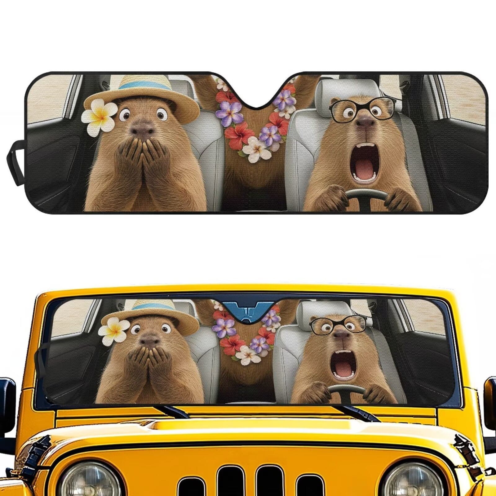 Funny Car Sun Shade