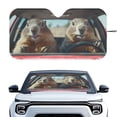 thumbnail image 1 of Binienty Funny Groundhog Car Visors Sun Shade for Car Windshield Car Interior Accessories Sun Protection UV-Blocking Easy Fold Heat Reflector-Keep Your Vehicle Cool, 1 of 8