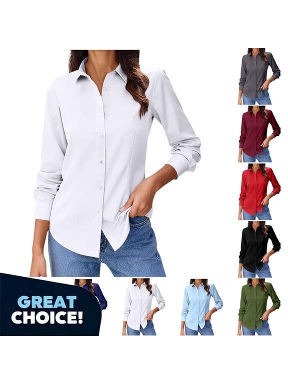 Women's Bottom Down Shirts with Long Sleeve, Ladies Fit Business Dress Shirts,Women's Plus Black,Size XXL