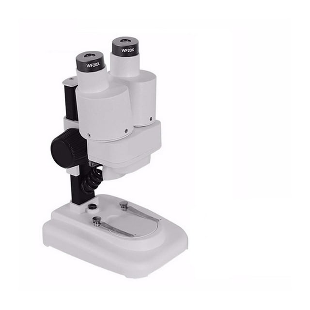 Binocular Stereo Microscope 20X/40X Above LED Lights PCB Solder Tool E Phone Repair Mineral Watching Microscopio ,Easy to Use