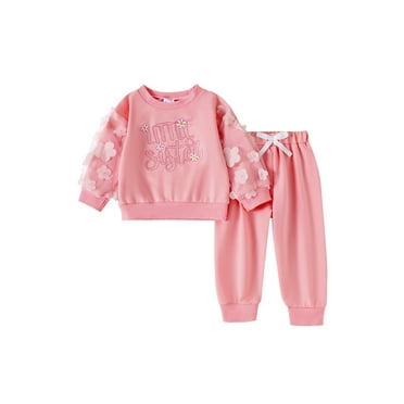 Binshrliy Baby Girl Fall Tracksuit Outfits Set Clothes 6M 12M 18M 24M 3T 4T Kids Girl Long Sleeve Flower Embroidery Sweatshirt Tops Sweatpants 2Pcs Casual Autumn Clothing for Toddler Girls