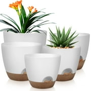 Aertyole Plant Pots 10/9/8/7.5/7 Inch Self Watering Pots, Set of 5 Plastic Planters with Drainage Holes and Saucers, Plastic Flower Pots, Nursery Planting Pot for Indoor Out Door Plants White