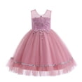 thumbnail image 1 of BintaRealwax Girls Lace Bridesmaid Dress Flower Kid Wedding Ball Gown Toddler Princess Pageant Evening Dresses, 1 of 3