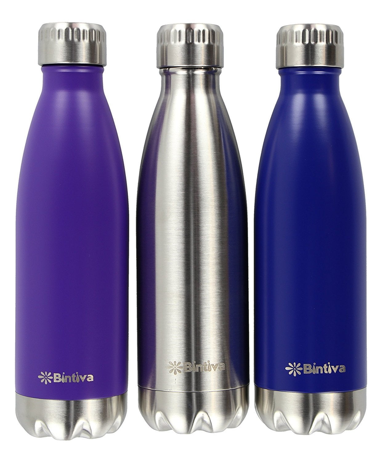 Insulated Stainless steel sports Water Bottle (Purple)