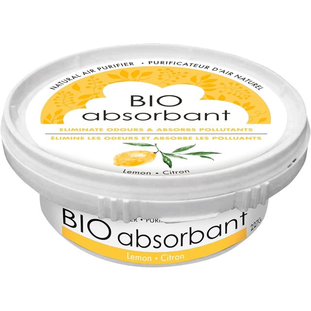 Bio Absorbant Air Purifier With Activated Carbon, Plant And Mineral