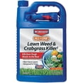 thumbnail image 1 of BioAdvanced All-in-1 Crabgrass & Weed Killer, 1 of 1