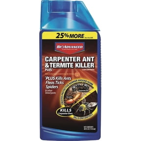 BioAdvanced Carpenter Ant & Termite Killer Plus