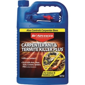 BioAdvanced Carpenter Ant & Termite Killer Plus