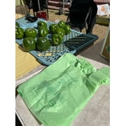 BioBag (USA) 100% Certified Compostable Shopping Bags, 12 lb Capacity, 500 Count, Standard Size Shopper, Great for On The Go, Farmers Markets, Grocery Stores, Restaurants