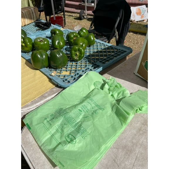BioBag (USA) 100% Certified Compostable Shopping Bags, 12 lb Capacity, 500 Count, Standard Size Shopper, Great for On The Go, Farmers Markets, Grocery Stores, Restaurants