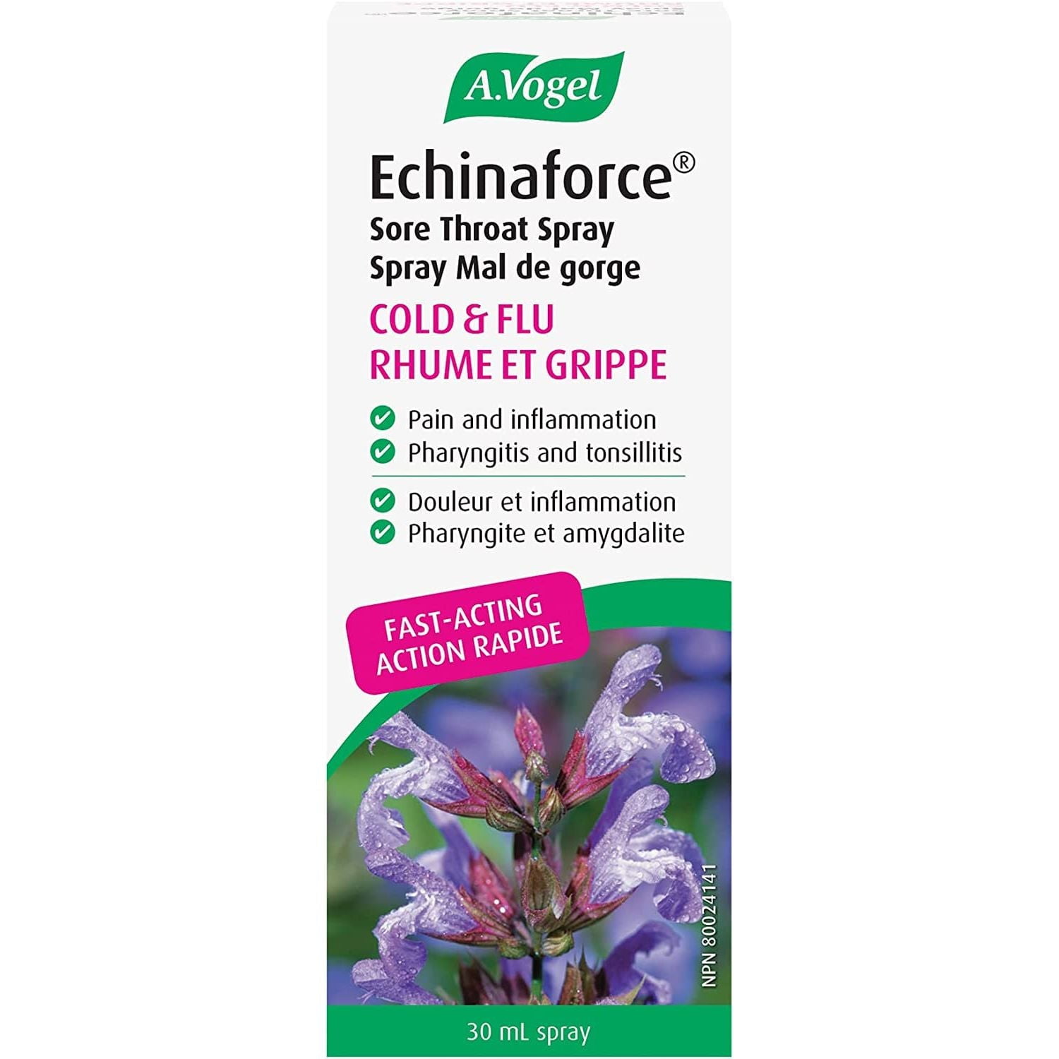 Spray Echinaforce - 30 ml - A.Vogel