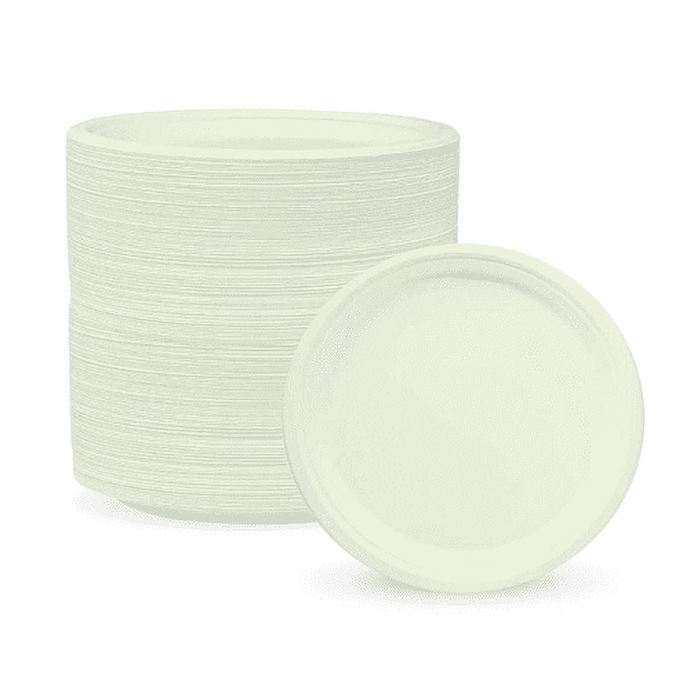 BioGreenChoice Eco-Friendly White 9 in. PFAS-FREE Fiber/Bagasse Disposable Plates (500 Count), Heavy Duty Paper Plates- Microwave safe (9 inch)
