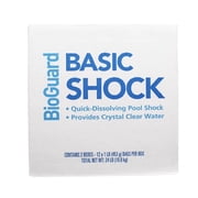 BioGuard Basic Shock 1 lb 24 Pack