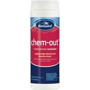 BioGuard Chem-Out Neutralizing Swimming Pool Stain Remover, 2 lbs, 2 Pack