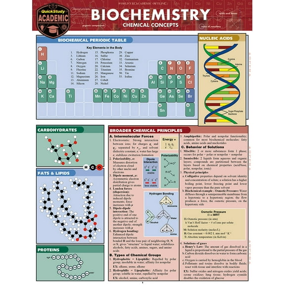 Biochemistry: A Quickstudy Laminated Reference Guide, (Paperback)