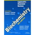 thumbnail image 1 of Biochemistry (Paperback) by Pamela C. Champe, Richard A. Harvey, Denise R. Ferrier, 1 of 1
