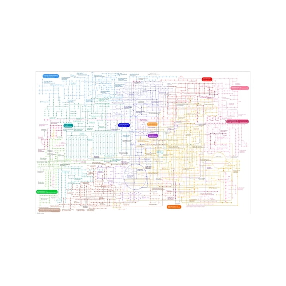 Biochemistry Poster Human Metabolic Pathways Chart Detailed Educational Biology Science for Classroom Lab Study Wall Decor
