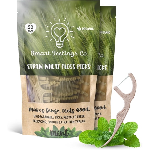 Biodegradable Dental Floss Picks 100 Count 2 Packs | Eco-Friendly Bamboo Like Straw Wheat Sustainable Mint Flavored Flossers for Kids and Adult Teeth Cleaning for The Enviromentally Conscious