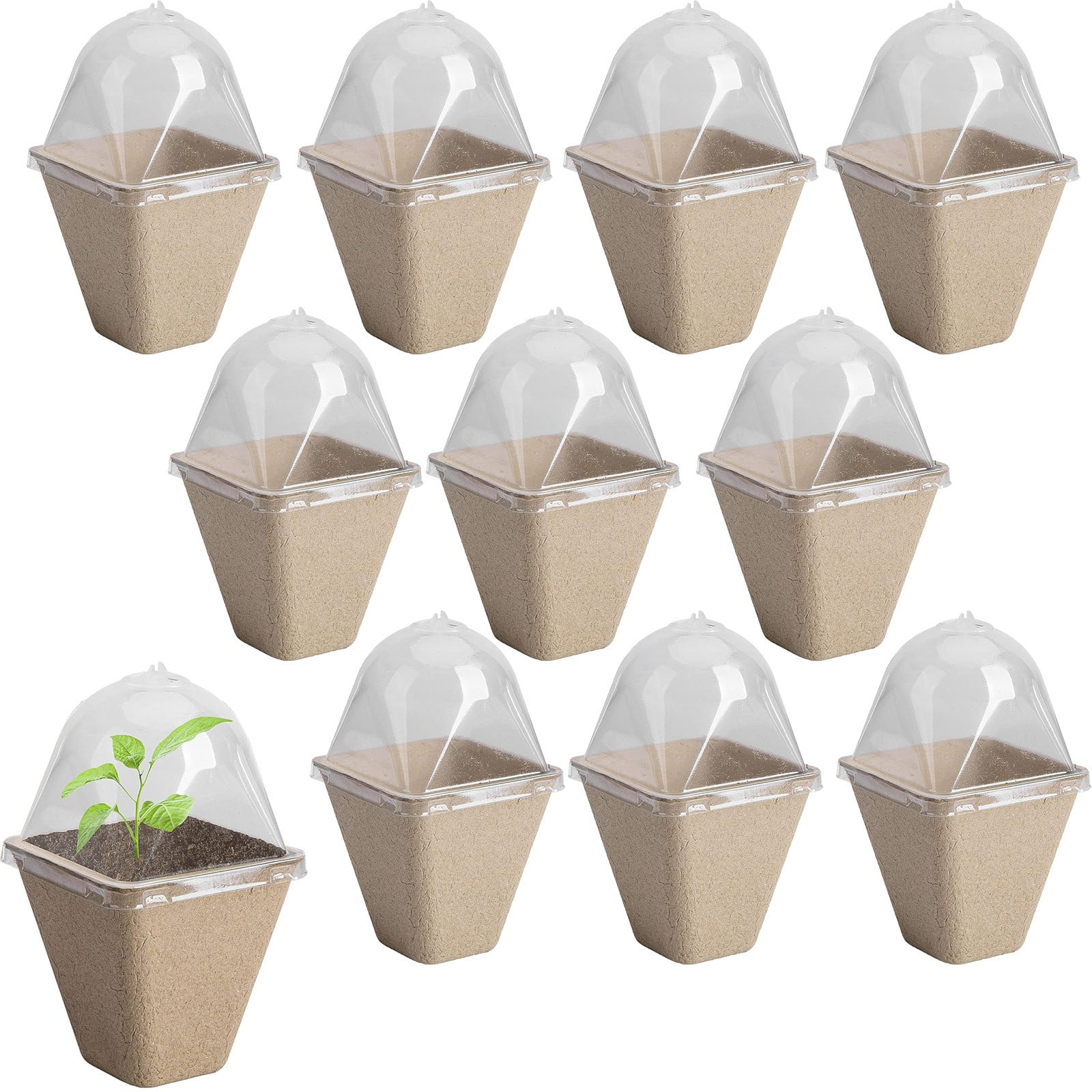 Biodegradable Nursery Pots With Humidity Dome 3.1 Inch Square Seeding