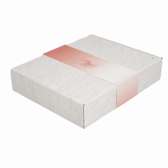 Biodegradable Urn for Human Ashes, Eco-Friendly Urn for Water or Earth Burial, Includes Water Soluble Ash Bag, Adult Size 3" H x 12" W x 14" L. (ANGEL GINKGO)