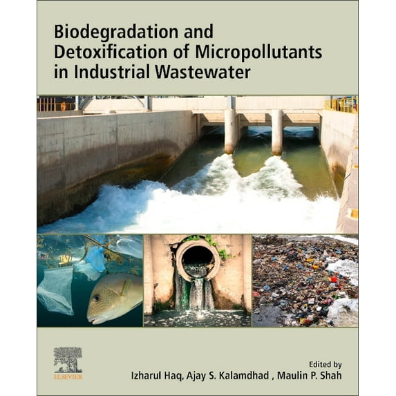 Biodegradation and Detoxification of Micropollutants in Industrial Wastewater, (Paperback)