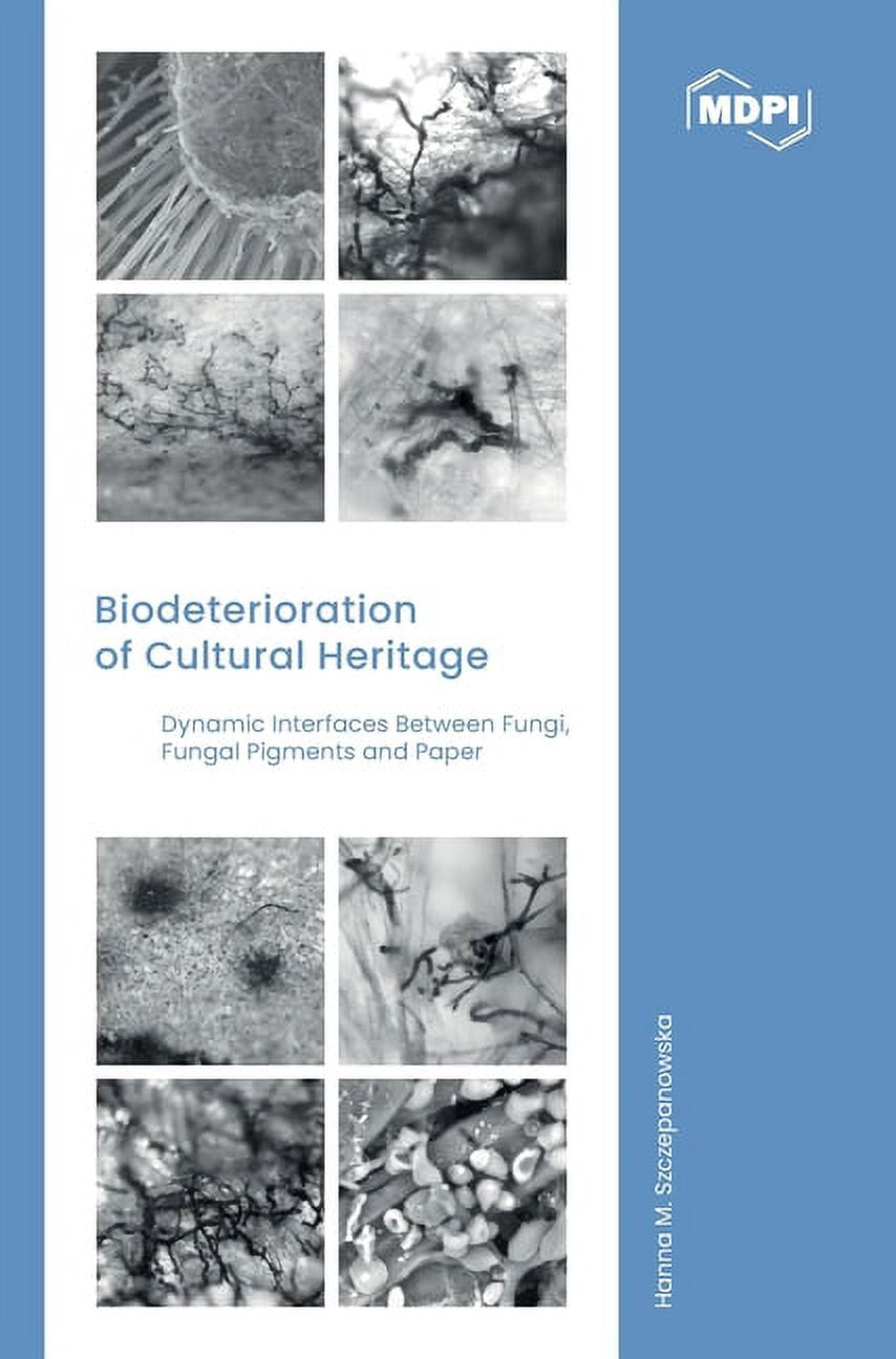 Biodeterioration of Cultural Heritage: Dynamic Interfaces between Fungi ...