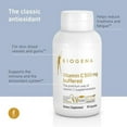 Biogena Vitamin C 500 mg buffered GOLD Premium vitamin C in a stomach