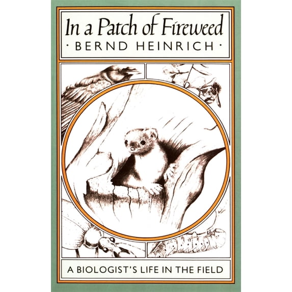 Biologist's Life in the Field In a Patch of Fireweed: A Biologist's Life in the Field, (Paperback)